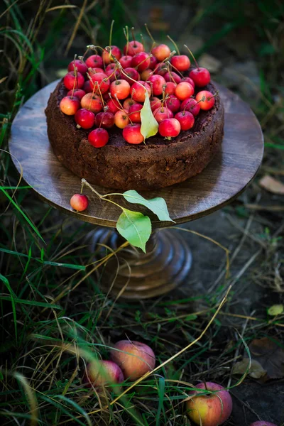 Chocolate Apples Cake Outdoor Photo Selective Focus — Stock Photo, Image