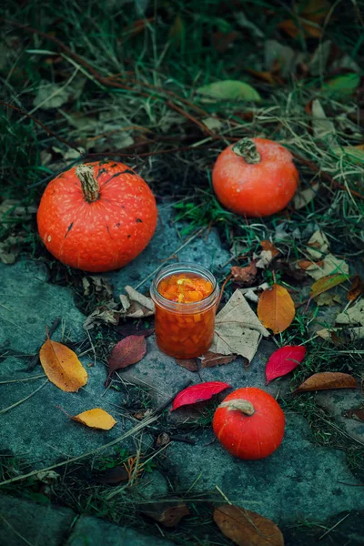 Hausgemachte Kürbismarmelade Outdoor Foto Selektiver Fokus — Stockfoto