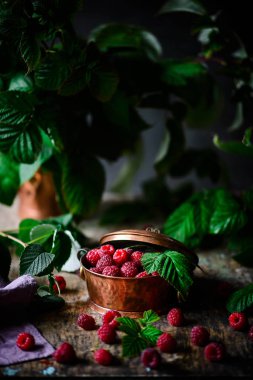 Eski bakır sepette taze, organik ahududu