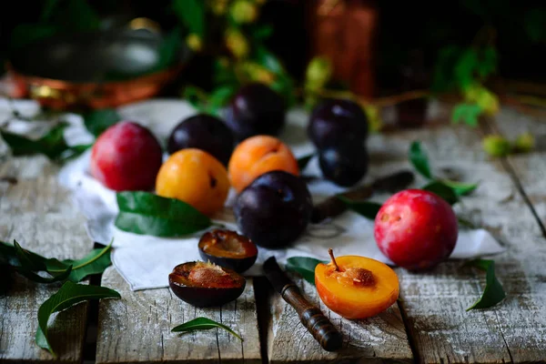 Automne nature morte avec prunes .style rustique — Photo