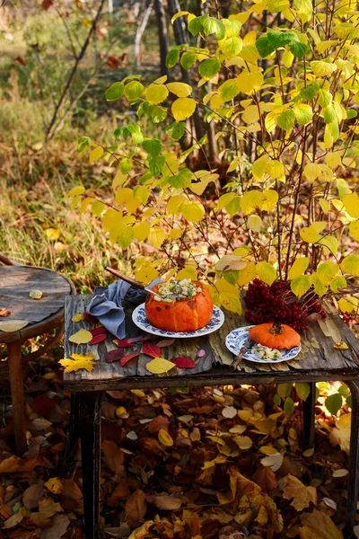 Pumpkin Stuffed with Pasta, Cheese and Meat. outdoor photo — Stock Photo, Image
