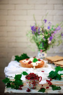 Seramik kapta taze, organik kırmızı frenk üzümü. Seçici odak noktası.
