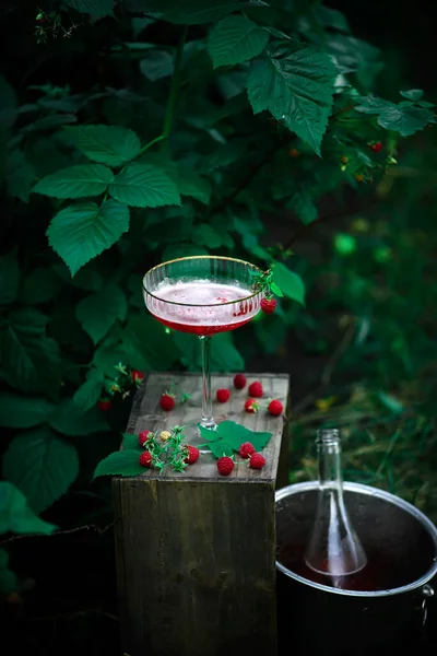 Wino Musujące Różane Malinami Styl Vintage Ukierunkowanie Selektywne — Zdjęcie stockowe