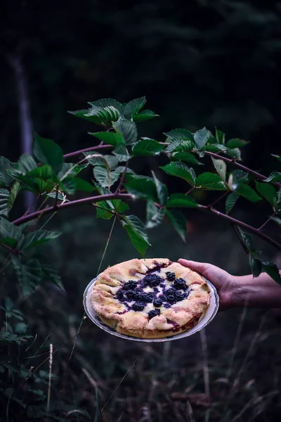 ブラックベリーチーズケーキガレット スタイル素朴な 選択的焦点 — ストック写真