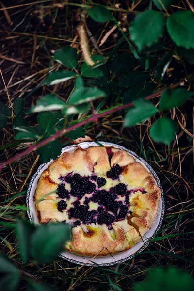 블랙베리 맛이야 스타일이지 선택적 — 스톡 사진