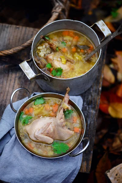 Autumn quail soup with bulgur..style rustic.selective focus — Stock Image Autumn Quail Soup Bulgur Style Rustic Selective Focus Royalty Free Stock Images