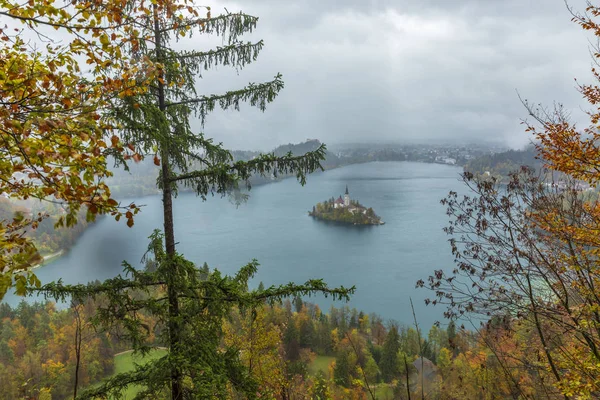 Lago Bled Alpi Giulie Slovenia — Foto Stock