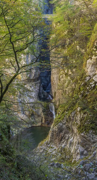 Sol Duc Falls Parc National Olympique États Unis — Photo