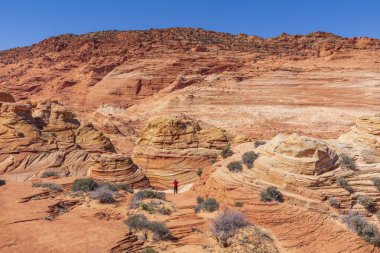 Dalga, Coyote Buttes, Arizona, Amerika Birleşik Devletleri.