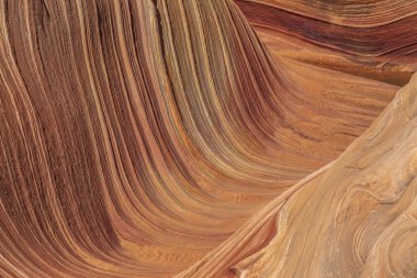 Dalga, Coyote Buttes, Arizona, Amerika Birleşik Devletleri.