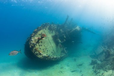 Enkaz dipte uzanır. Güneş ışınlarının suya girmesiyle aydınlanır. Kızıl Deniz