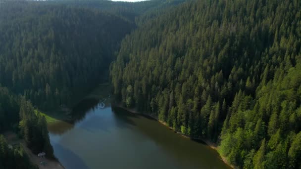 Aerial View Lake Synevyr Kárpátok Ukrajna — Stock videók