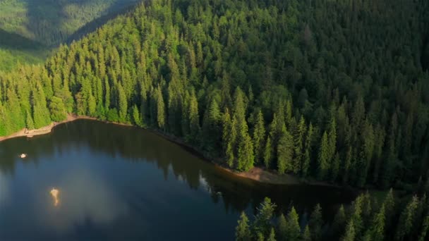 カルパチア山脈の湖Synevyrの空中ビュー ウクライナ — ストック動画