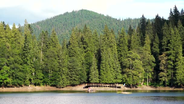 Lake Synevyr Kárpátok Ukrajna — Stock videók