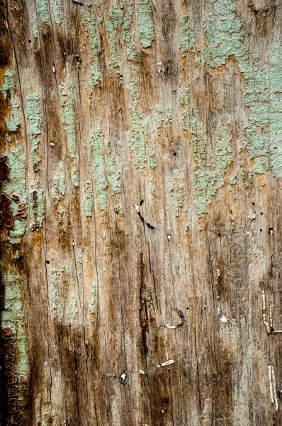 Wood plank texture background — Stock Photo, Image