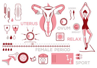Infographics about the menstrual cycle of a woman, health, hygiene, vector, white background, character set clipart