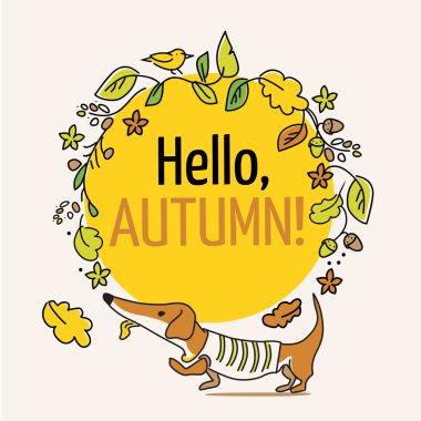 Hello, Autumn, typography poster. Merry greeting card with dachshund puppy and leaves. Vector  lettering holiday quote. clipart