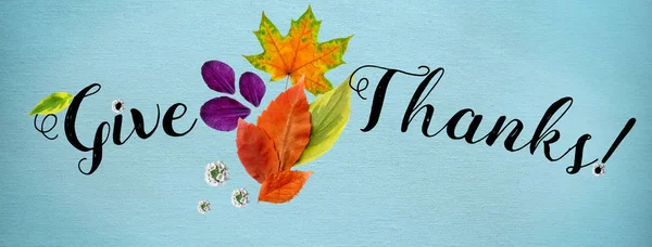 Horisontell Täckning För Happy Thanksgiving Webbplats Collage Handskrivna Typsnitt Och — Stockfoto
