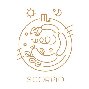 Akrep. Vektör zodyak işaretleri içinde altın rengi beyaz arka plan, logo, dövme veya illüstrasyon çember. Astrolojik tahmin, çocuklar için çoklu oturum açma için gıda burç. 
