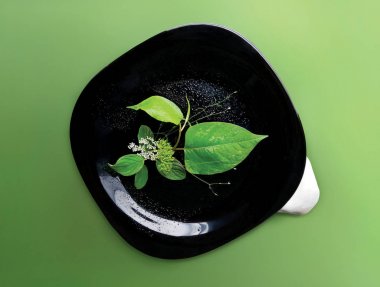 Yeşil bir arka plan üzerinde izole edilmiş siyah bir tabakta bir buket bitki, yaprak ve çiçek. Floristik kompozisyon