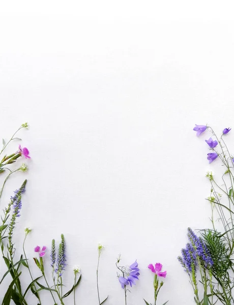 Frame Van Wilde Bloemen Bell Anjer Lavendel Burr Een Witte — Stockfoto
