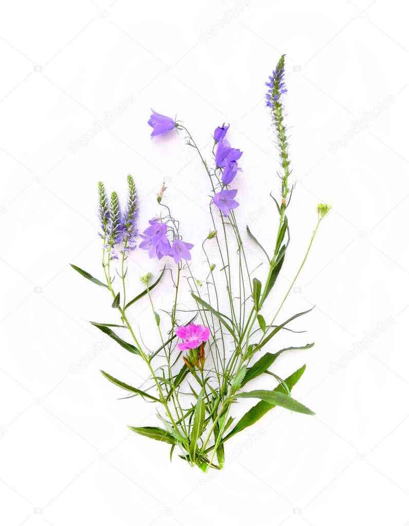 Bouquet of wild flowers, field bell, carnation flower, lavender, on a white canvas background. Top view, close-up. Template for poster, advertising, social networks, web page with place for text.