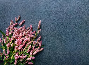 Koyu gri granit arka plan üzerinde yabani pembe çiçek buketi. 