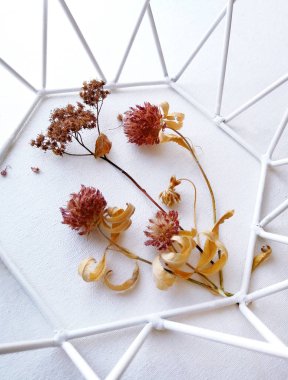 Gerçek Gölge ile Beyaz Tuval Arka Plan üzerinde beyaz metal çit ile Kurutulmuş Yonca Çiçekler.