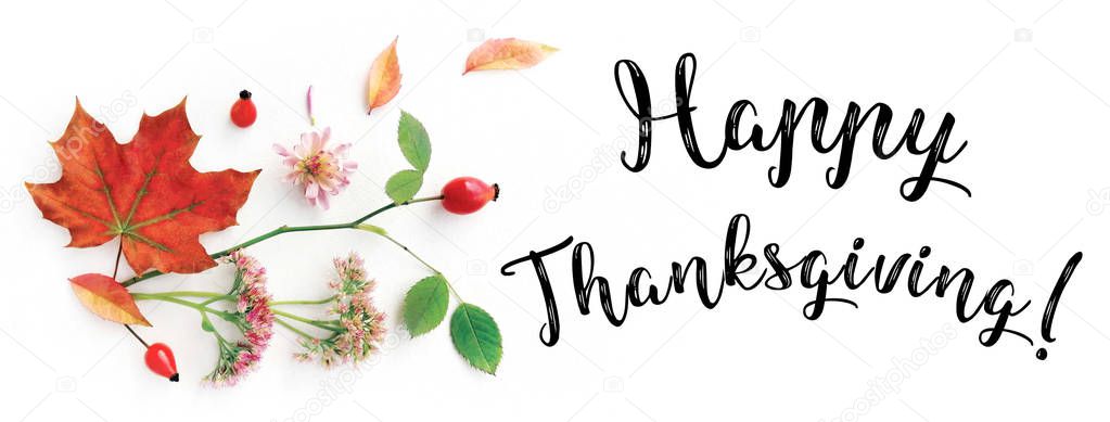 Happy Thanksgiving cover for web page, site banner template. Collage of handwritten font, autumn branch of wild rose, berries and leaves, flowers on white background. Flat lay, top view.