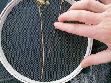 Kurumuş çiçeklerle el yapımı nakış ve solmuş otlar örgü kumaş, ızgara, tül, arka planda yuvarlak halka. Ev dekorasyonu, iç dekorasyon, duvarlar. Adım adım ana sınıf, el işi rehberi, üst görünüm