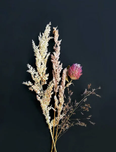 野生植物の花束 枯れたフィールドシリアル 黒の背景に隔離された花 年間ハーブ 花構成 トップビュー画像 フラットレイアウト 閉じる ポスターA3 — ストック写真