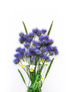 Beyaz Tuval Arkaplan 'da izole edilmiş bir buket yabani çiçek, Gerçek Gölge. Çiçek Kompozisyonu, Üst Görünüm Resmi, Düz Yatık, Yakın Çekim