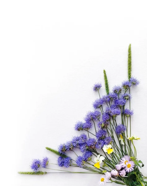 Frame Van Blauwe Wilde Bloemen Witte Canvas Achtergrond Bovenaanzicht Template — Stockfoto