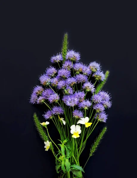 Boeket Blauwe Wilde Bloemen Geïsoleerd Zwarte Achtergrond Bloemen Compositie Top — Stockfoto
