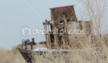    Açık alanlarda Aral Denizi