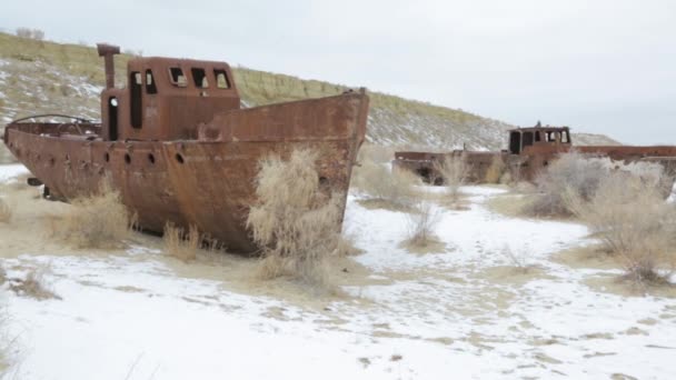 Öppna Ytor Aralsjön — Stockvideo