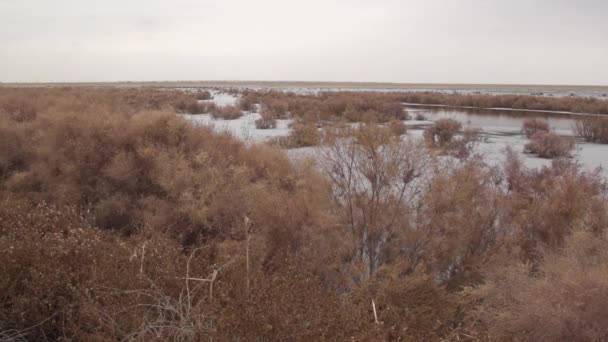 Öppna Ytor Aralsjön — Stockvideo