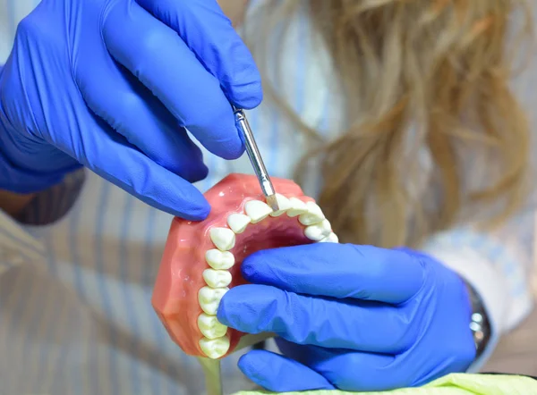 Técnico Dental Tiñe Los Dientes Manos Especialista —  Fotos de Stock