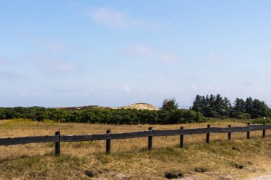 Morsum cliff, Sylt, Kuzey Almanya, ada Ağustos 2018 yılında Kuzey Denizi'nde