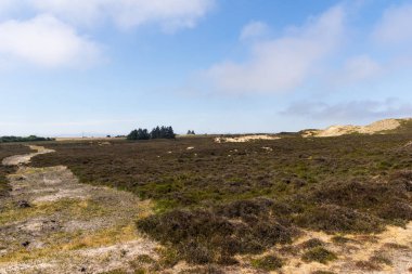 Morsum cliff, Sylt, Kuzey Almanya, ada Ağustos 2018 yılında Kuzey Denizi'nde