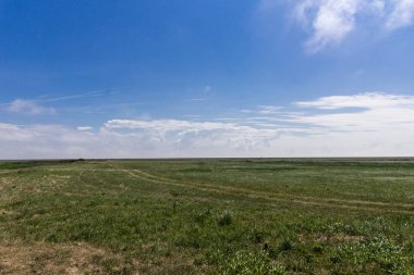 Morsum cliff, Sylt, Kuzey Almanya, ada Ağustos 2018 yılında Kuzey Denizi'nde