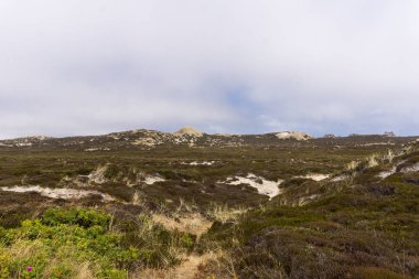 Sylt, Kuzey Almanya, ada Ağustos 2018 yılında Kuzey Denizi'nde