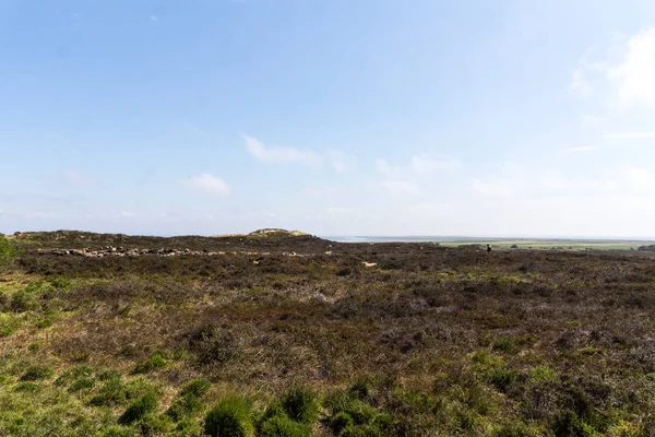 Falaise Morsum Sylt Allemagne Nord Île Mer Nord Août 2018 — Photo