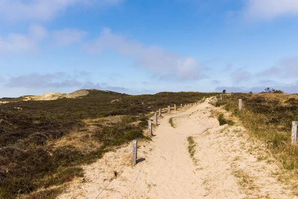 Morsum Cliff Sylt Alemanha Norte Ilha Mar Norte Agosto 2018 — Fotografia de Stock