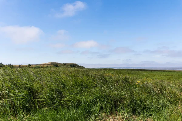 Morsum cliff, Sylt, Kuzey Almanya, ada Ağustos 2018 yılında Kuzey Denizi'nde