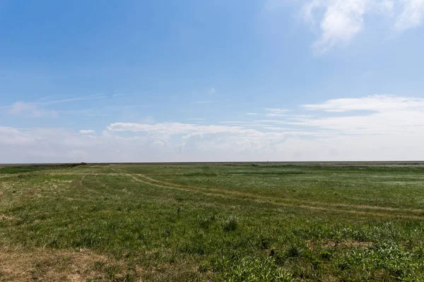 Morsum Cliff Sylt Kuzey Almanya Ada Ağustos 2018 Yılında Kuzey — Stok fotoğraf