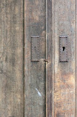 eski ahşap tahta kabuk böcekleri izleri ile