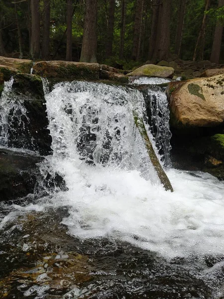 Pequena Cachoeira Rochosa Floresta — Fotografia de Stock