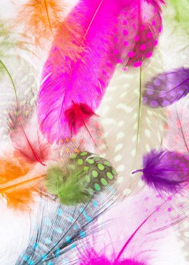 renkli badem kurabiyesi ve şeker