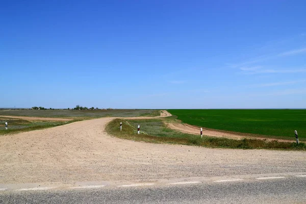 Weg Tussen Velden Splitst Twee Delen — Stockfoto